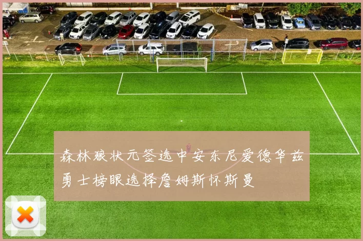 森林狼状元签选中安东尼爱德华兹勇士榜眼选择詹姆斯怀斯曼