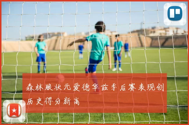 森林狼状元爱德华兹季后赛表现创历史得分新高